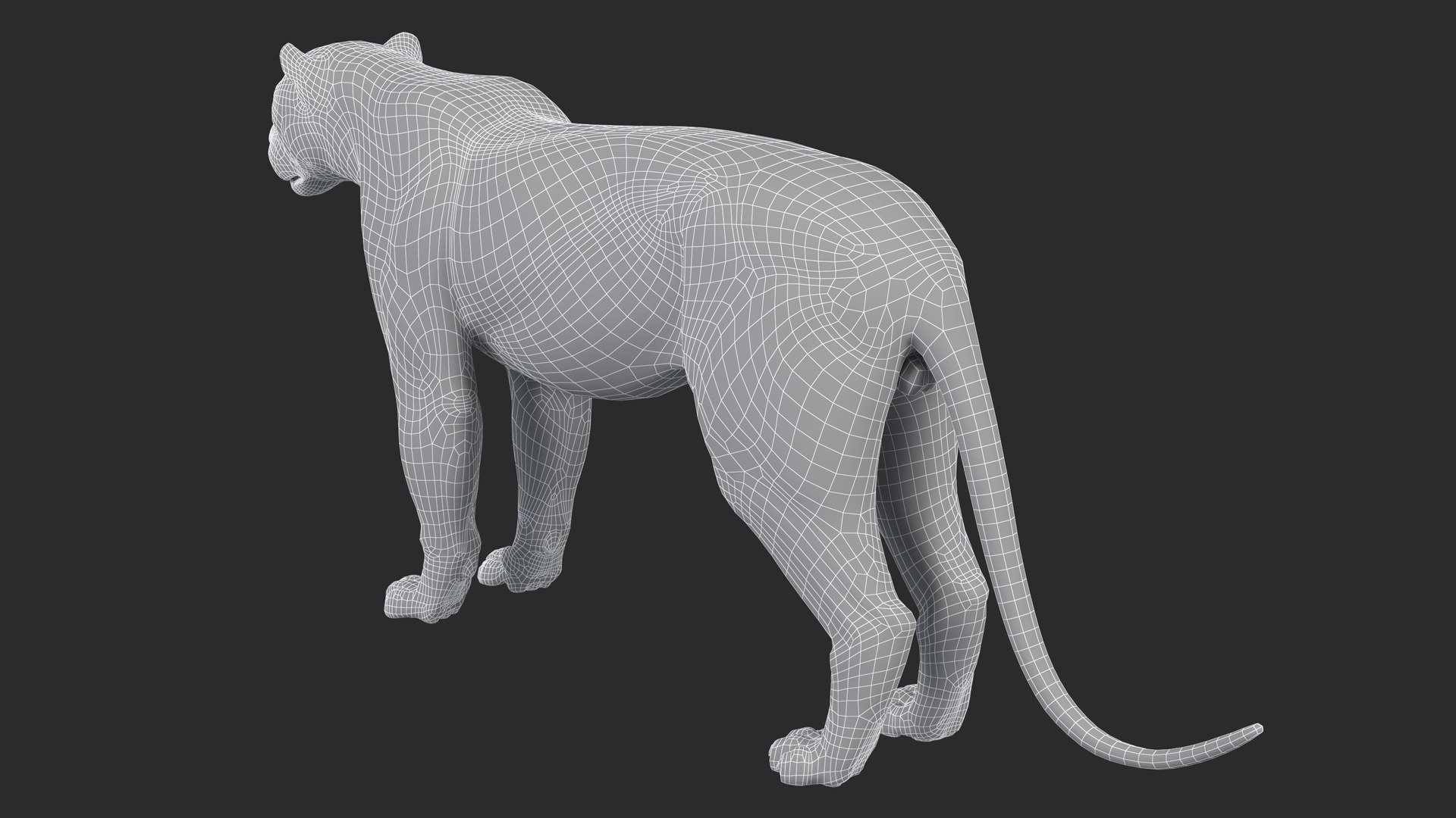 LeopardUnityPackage 3D model https://p.turbosquid.com/ts-thumb/gL/4Sf20C/Rc/leopard_image2wire/jpg/1723617092/1920x1080/fit_q87/ff5d7f8c72ea3b85504ea9c62df4ba0da7047500/leopard_image2wire.jpg