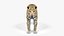 Paquet LeopardUnity