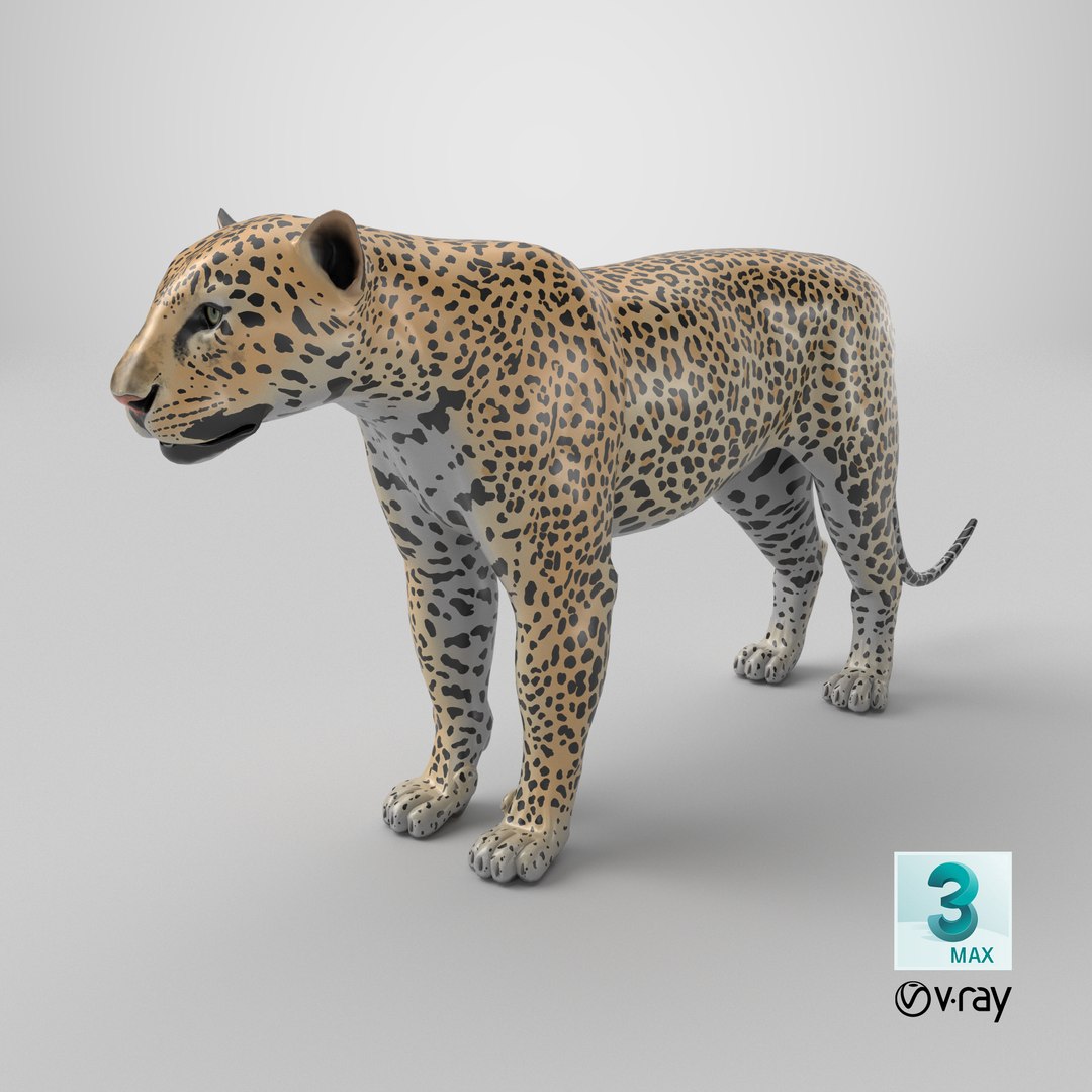 LeopardUnityPackage 3D model https://p.turbosquid.com/ts-thumb/gL/4Sf20C/dR/stemcell_max_vray_render/png/1726153235/1920x1080/fit_q87/648d61a4fb988820b9b4a31d40173cfaee1d3aec/stemcell_max_vray_render.jpg