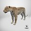 Paquet LeopardUnity