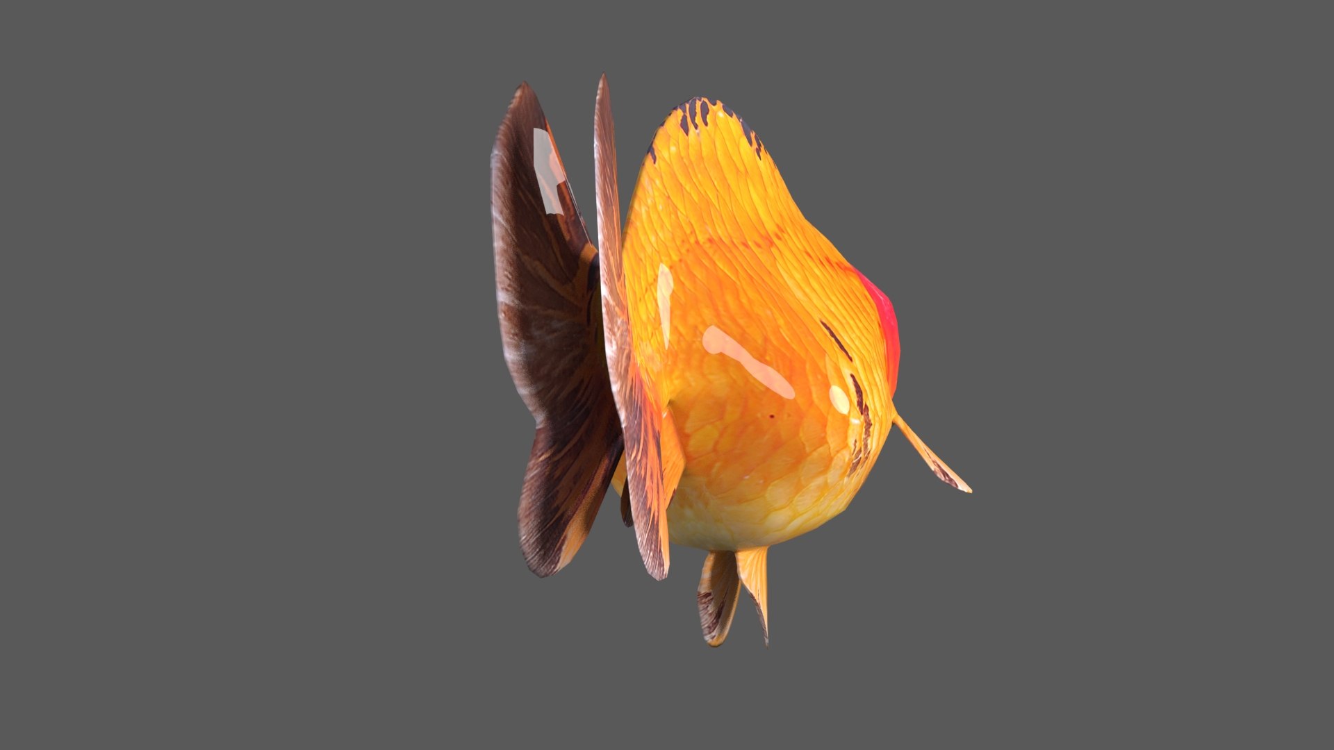 3D Goldfish-Animated Variety4 Model - TurboSquid 2035173