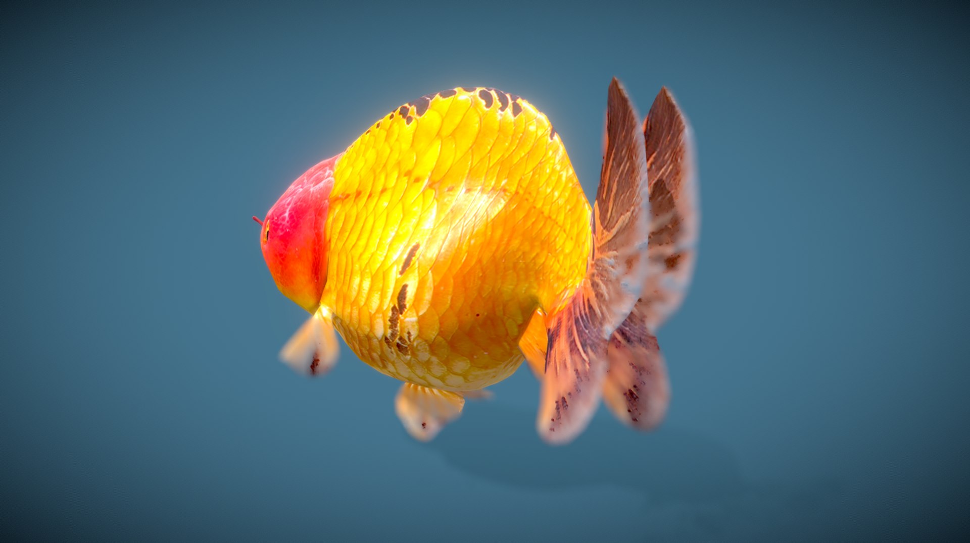 3D Goldfish-Animated Variety4 Model - TurboSquid 2035173