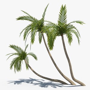 3d coconut palms set model
