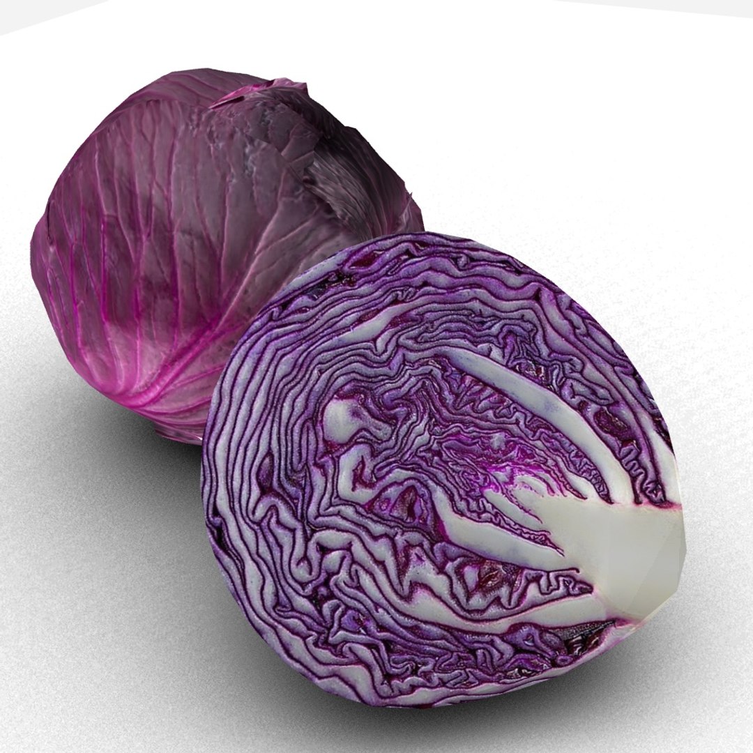 Red Cabbage 3D Model - TurboSquid 1347778