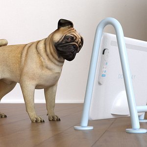 3D Pug Dog with Dogsplay TV