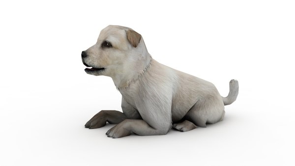 3D Puppy