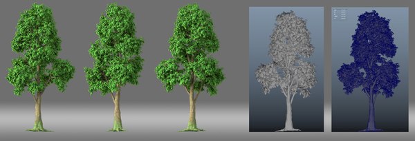 3D cartoon tree bush leaf - TurboSquid 1466332