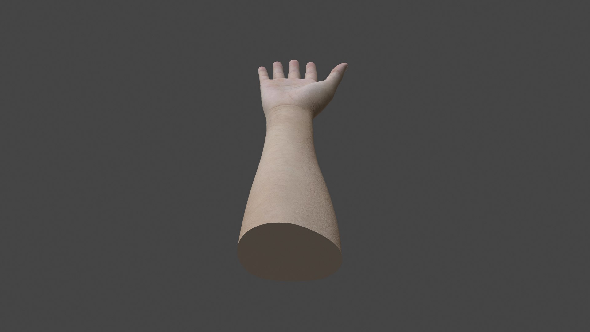 SHR-001 Rigged right hand model https://p.turbosquid.com/ts-thumb/gL/xtNqTn/Hz/preview5/jpg/1665358315/1920x1080/fit_q87/89d1fa1f4bf94c804810294d68c6b9c8c81c762e/preview5.jpg