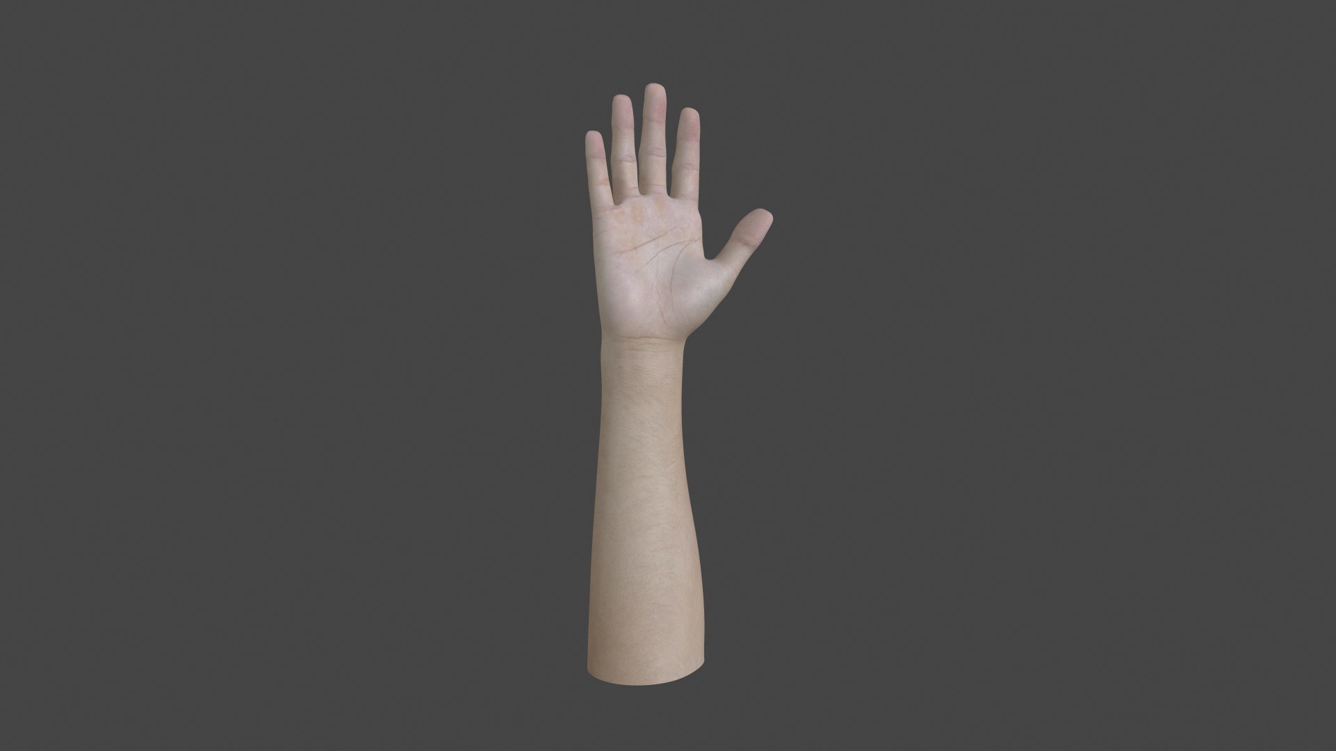 SHR-001 Rigged right hand model https://p.turbosquid.com/ts-thumb/gL/xtNqTn/Rh/preview3/jpg/1665358314/1920x1080/fit_q87/4290ff1246cf9f0a809a4f28007b4ae6ef1951b0/preview3.jpg
