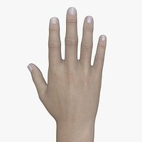 SHR-001 Rigged right hand