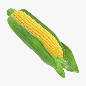 Corn with leaves