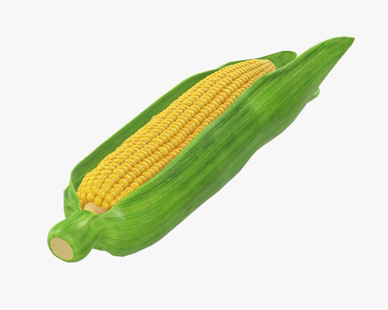 Corn 3D Model - TurboSquid 1404259