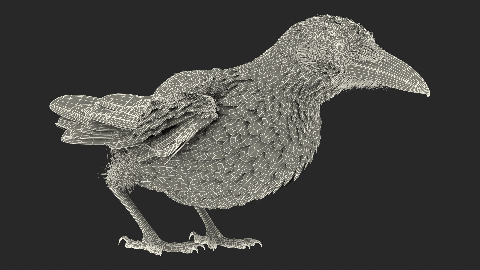 raven jumping rigged animate model https://p.turbosquid.com/ts-thumb/gM/DPRgqI/G6Fguwrk/ravenjumpinganimatedrigged3dsmodel017/jpg/1566371134/1920x1080/fit_q87/9fb294d78df6ca5c714aa2d750601c586de2c0c0/ravenjumpinganimatedrigged3dsmodel017.jpg