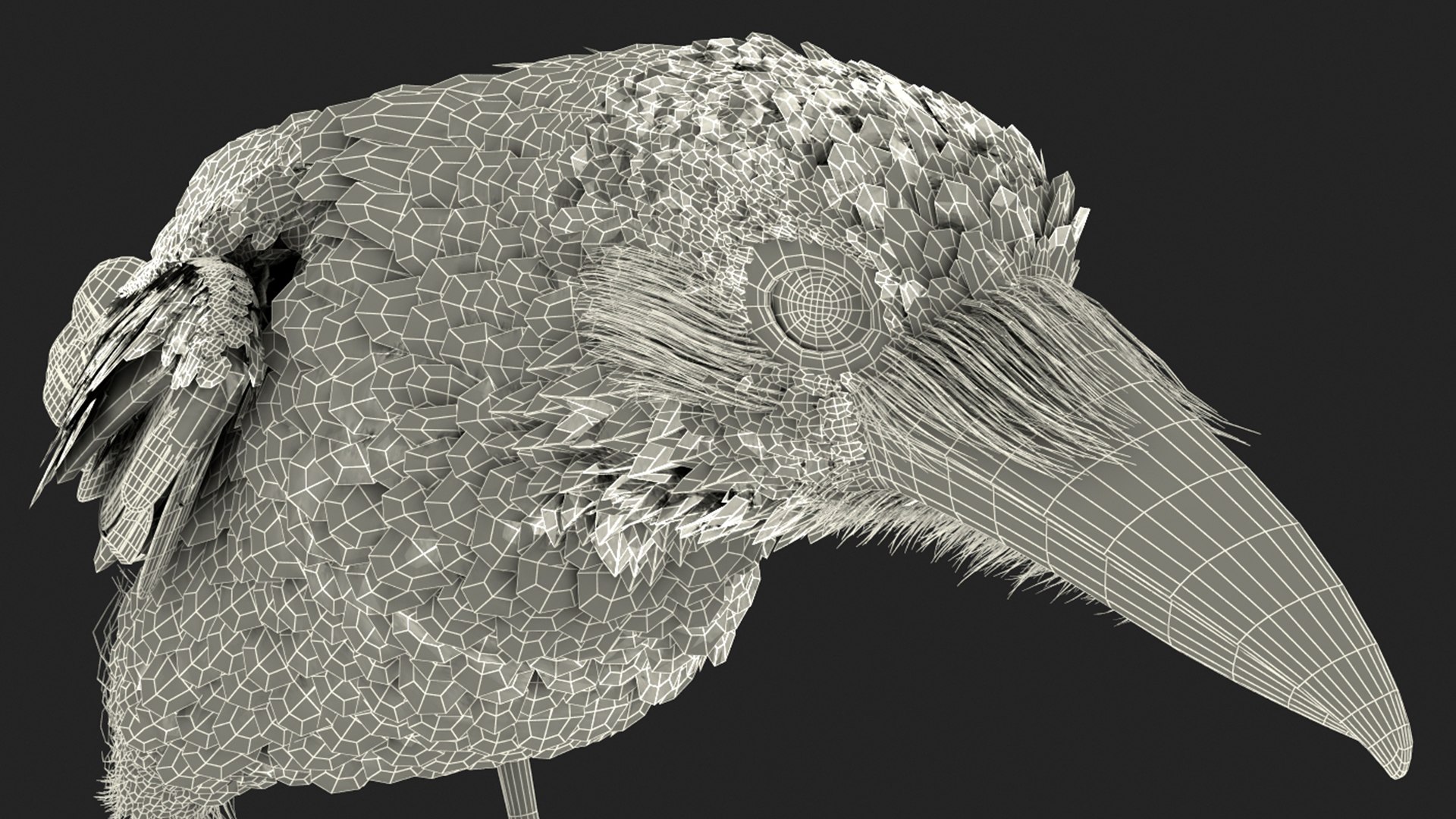 raven jumping rigged animate model https://p.turbosquid.com/ts-thumb/gM/DPRgqI/PBB292Wl/ravenjumpinganimatedrigged3dsmodel019/jpg/1566371143/1920x1080/fit_q87/ad370e1bb1517b13fd25ff6247bbcf3261debe21/ravenjumpinganimatedrigged3dsmodel019.jpg