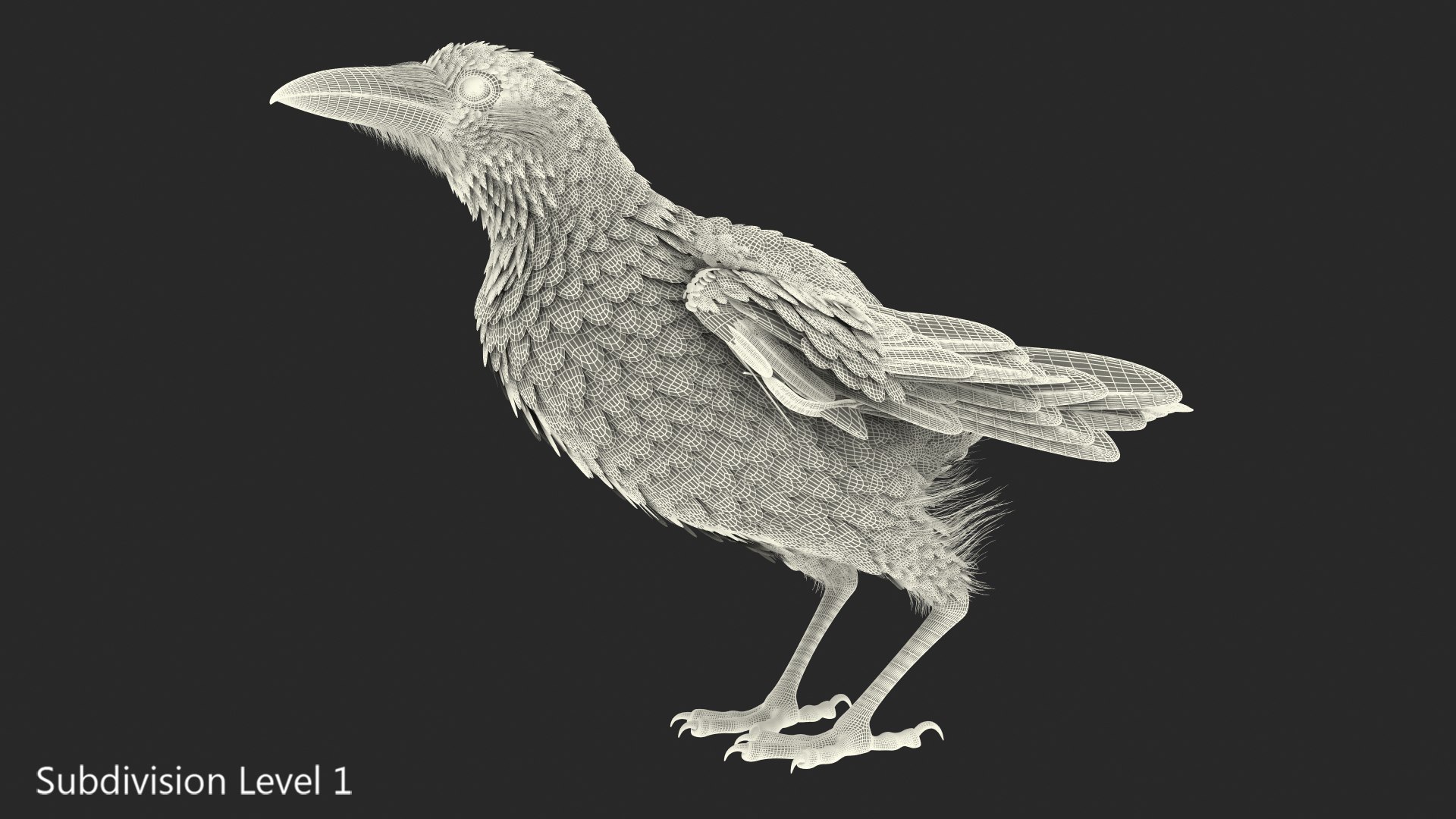 raven jumping rigged animate model https://p.turbosquid.com/ts-thumb/gM/DPRgqI/VfdN04dn/ravenjumpinganimatedrigged3dsmodel012/jpg/1566371108/1920x1080/fit_q87/66062799a0b1a3b91eab1ddcbb26fb0adffdda09/ravenjumpinganimatedrigged3dsmodel012.jpg