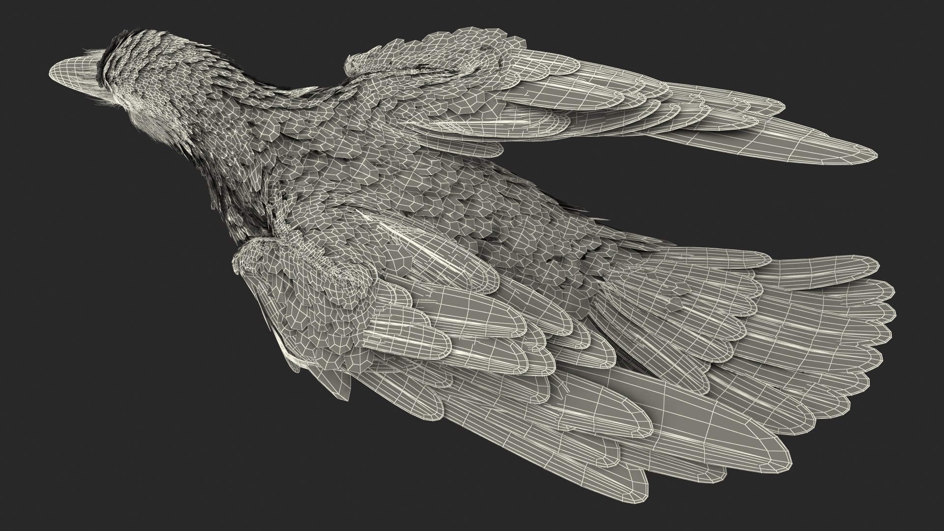 raven jumping rigged animate model https://p.turbosquid.com/ts-thumb/gM/DPRgqI/wPU7YOR0/ravenjumpinganimatedrigged3dsmodel018/jpg/1566371138/1920x1080/fit_q87/3e2585906b598f14ec7f2301182f7ac1df090370/ravenjumpinganimatedrigged3dsmodel018.jpg