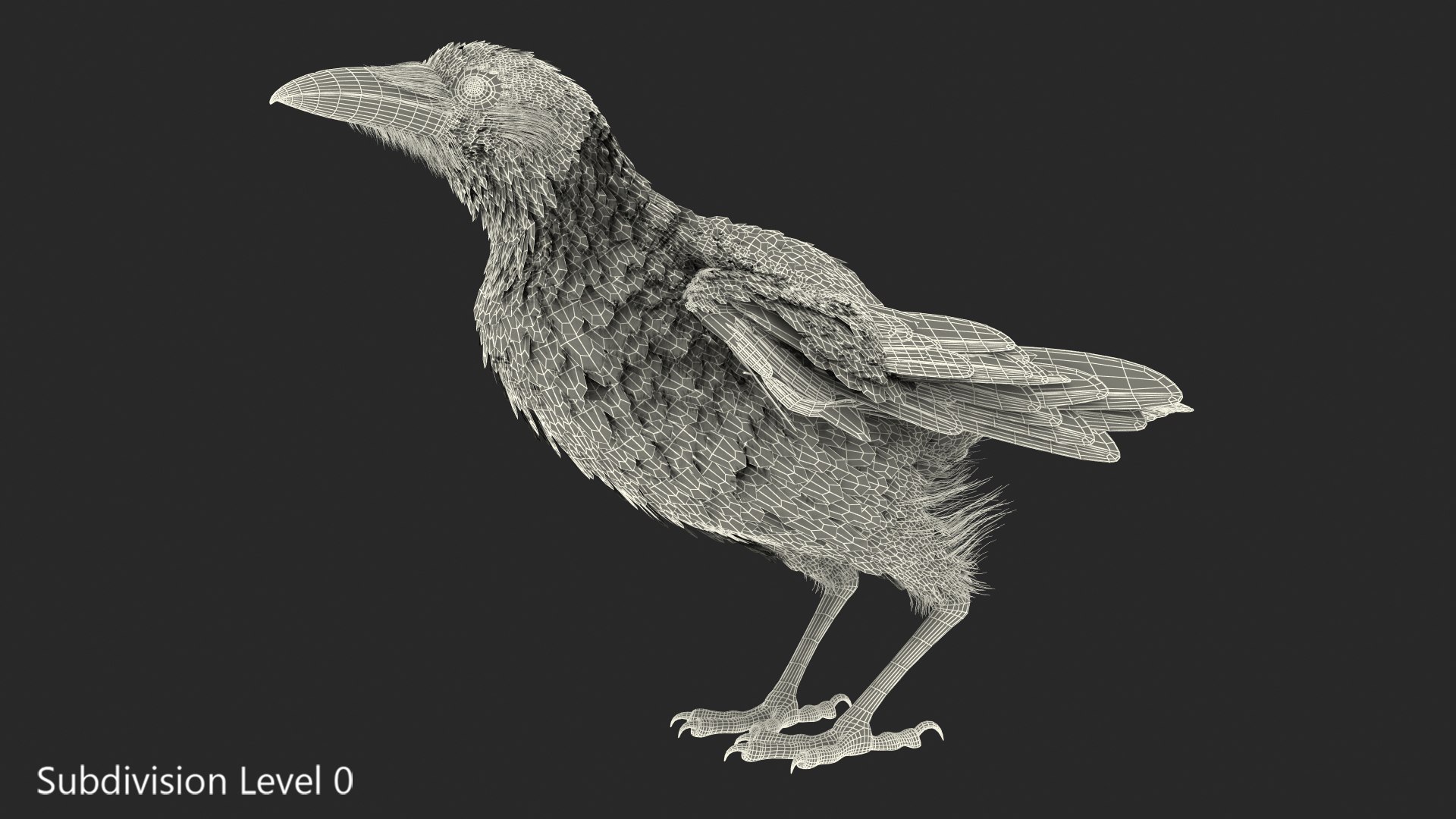 raven jumping rigged animate model https://p.turbosquid.com/ts-thumb/gM/DPRgqI/wtigC8Ce/ravenjumpinganimatedrigged3dsmodel011/jpg/1566371103/1920x1080/fit_q87/a930b74a0fa6530f7dd46f67840403663266a63e/ravenjumpinganimatedrigged3dsmodel011.jpg