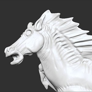hippocamp
