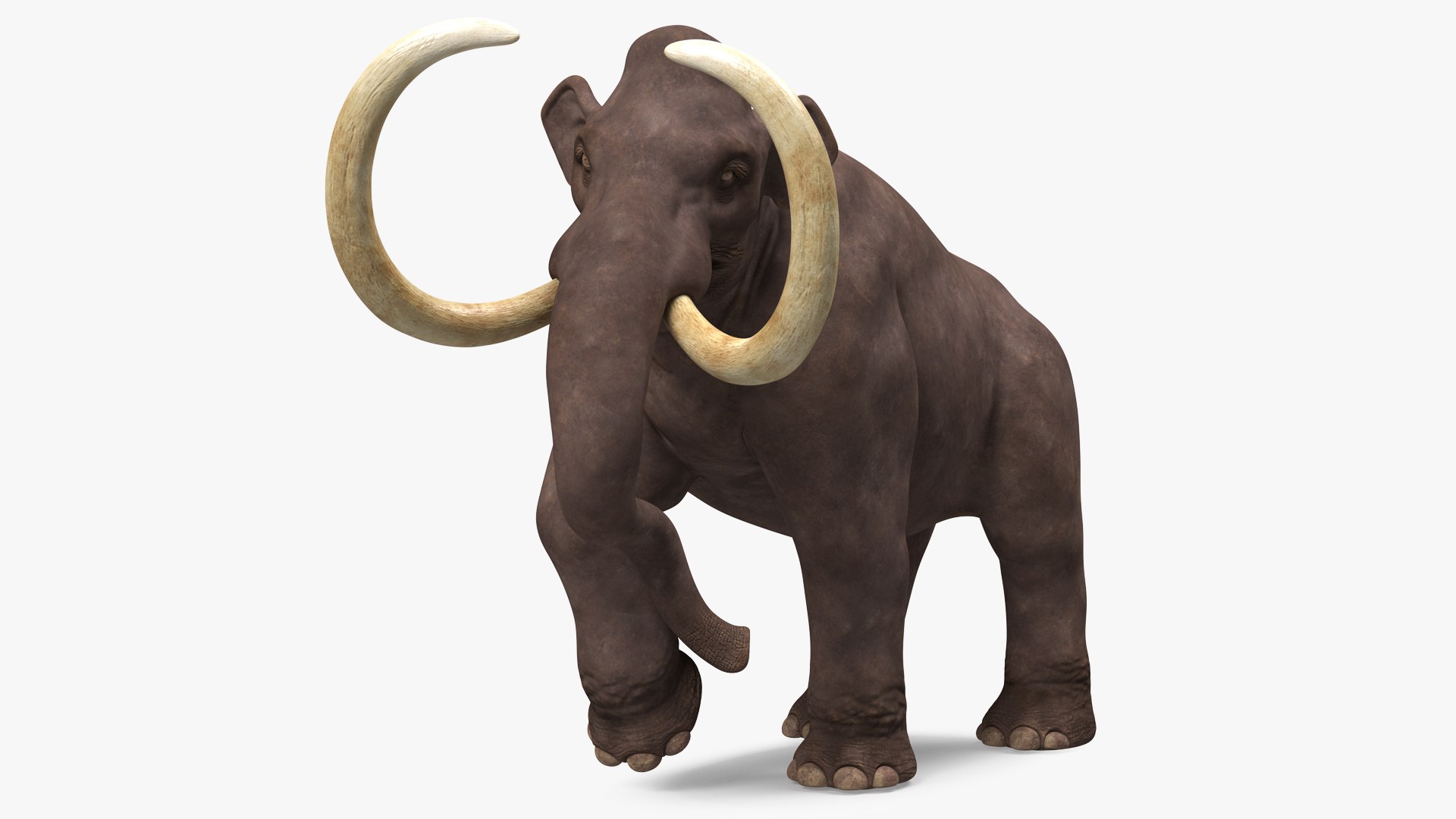 Mammoth Walking Pose 3D model preview