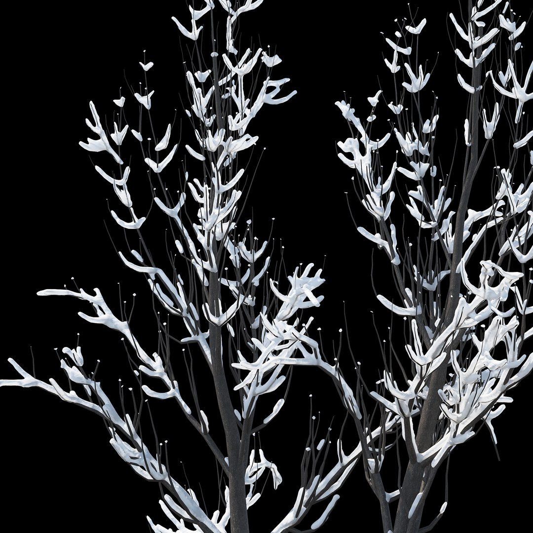 Winter Tree 027 Model - TurboSquid 1234798