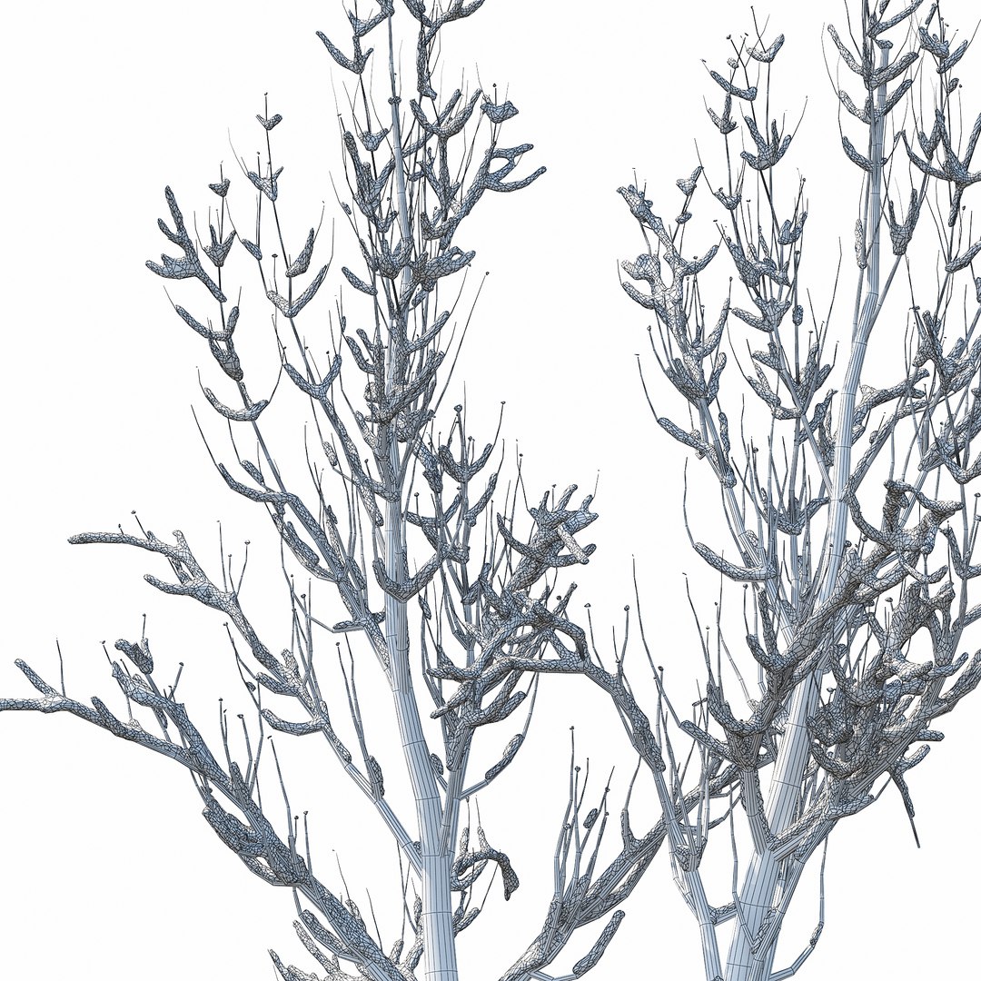 Winter Tree 027 Model - TurboSquid 1234798