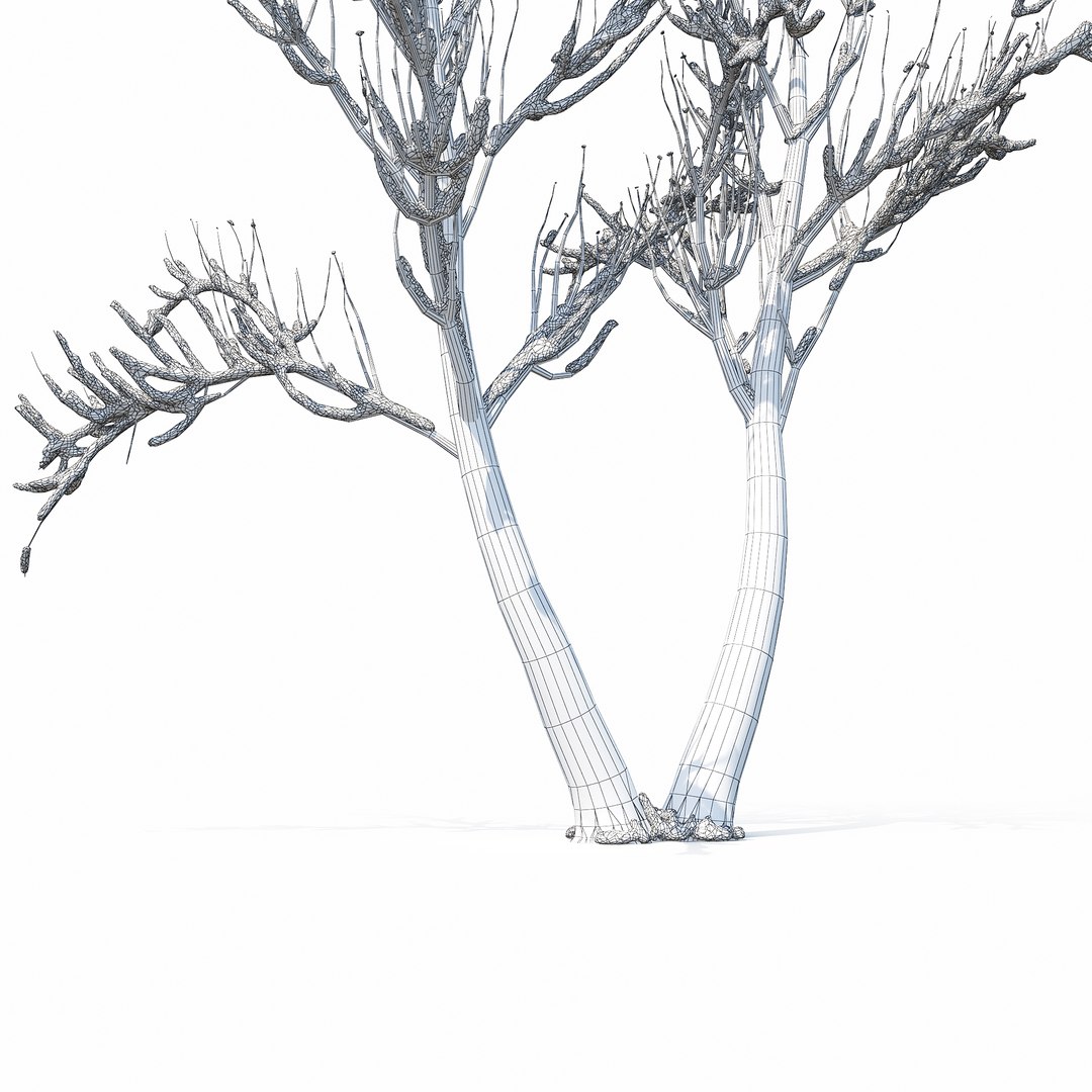 Winter Tree 027 Model - TurboSquid 1234798