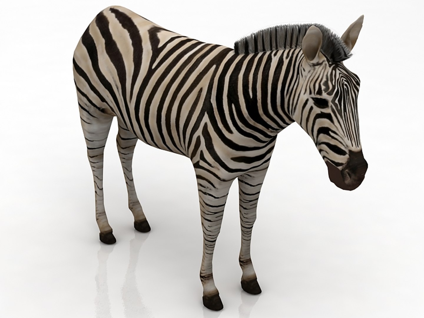 Zebra 3D - TurboSquid 1774098