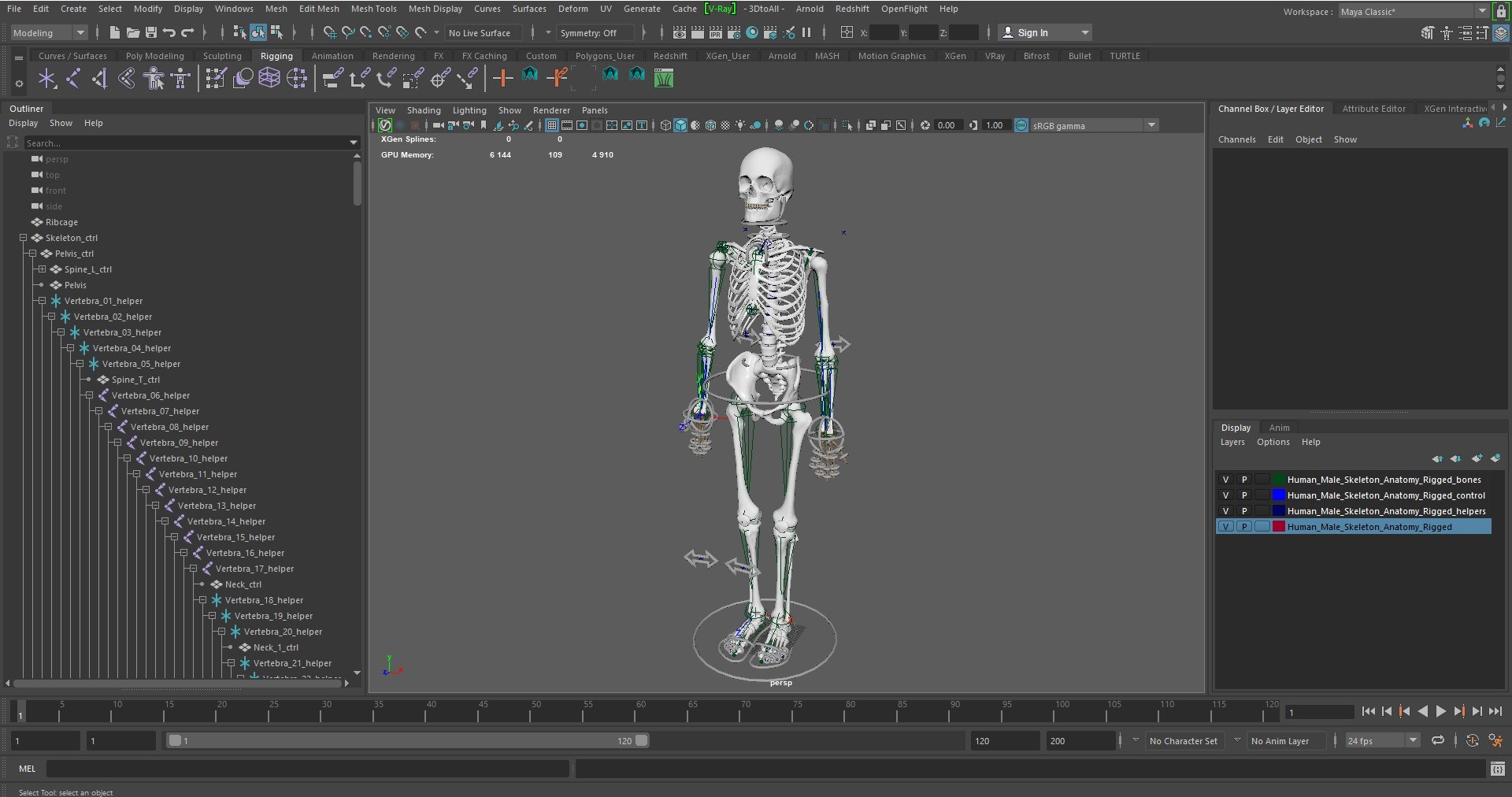 Human Male Skeleton Anatomy Rigged For Maya Model - TurboSquid 2527758