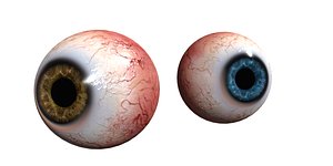 3D eye pupil