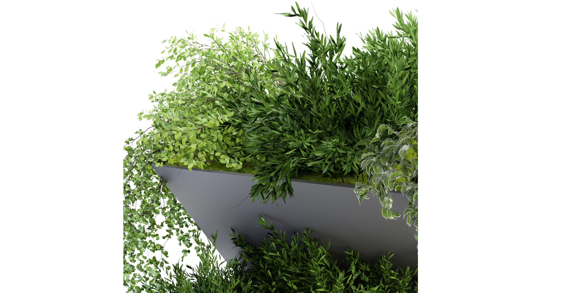 Collection plant vol -70 blender model 3D model https://p.turbosquid.com/ts-thumb/gM/z39Hbi/Y2/2/jpg/1686818599/1920x1080/fit_q87/3023ad061c34b67f19c5970b5036c04a1cfdda43/2.jpg