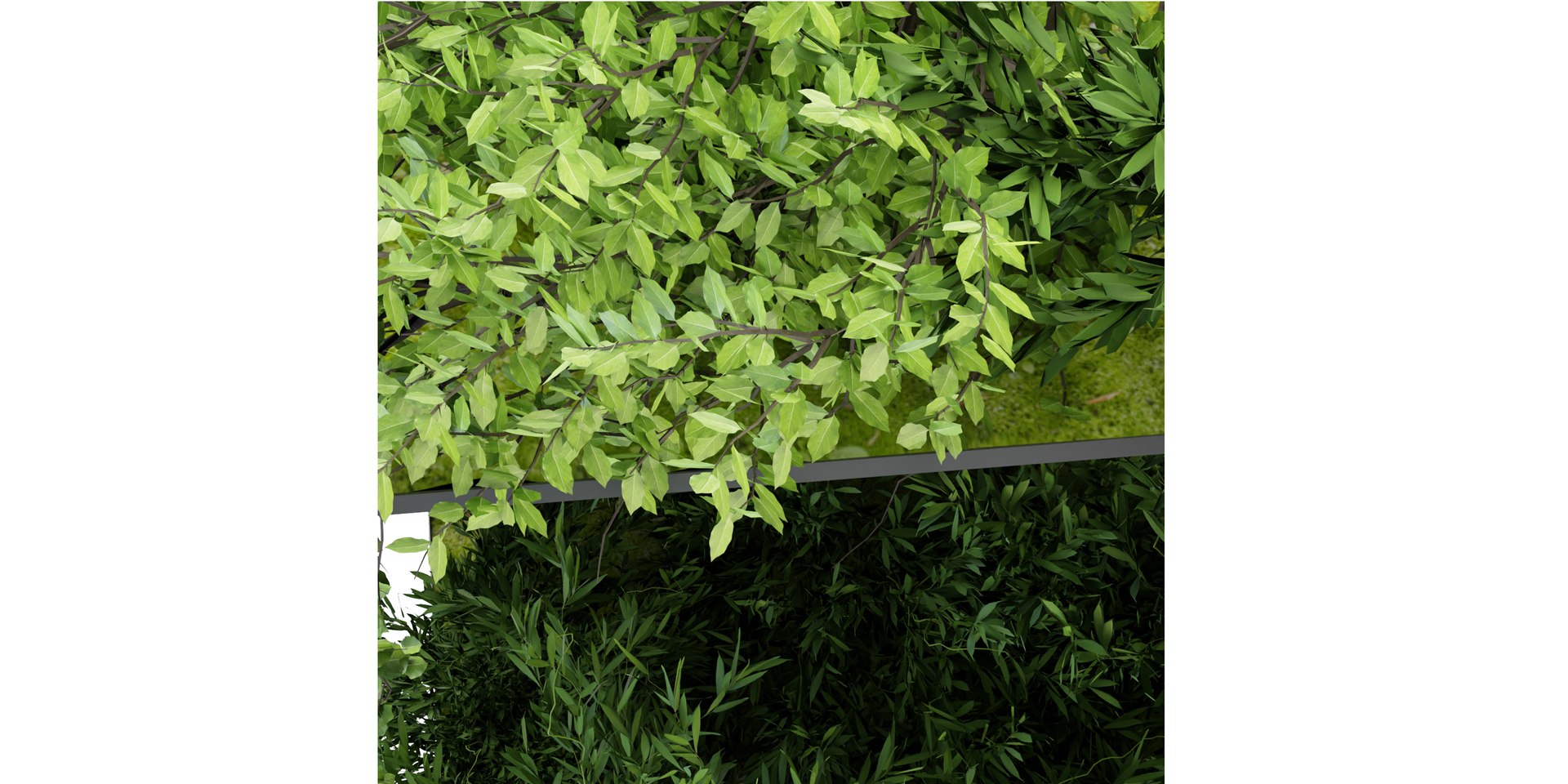 Collection plant vol -70 blender model 3D model https://p.turbosquid.com/ts-thumb/gM/z39Hbi/b1/3/jpg/1686818598/1920x1080/fit_q87/0d2f5b9736ab00259cf32a85873750bb3765cf83/3.jpg