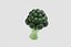 Dessin animé de brocoli