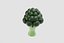Dessin animé de brocoli