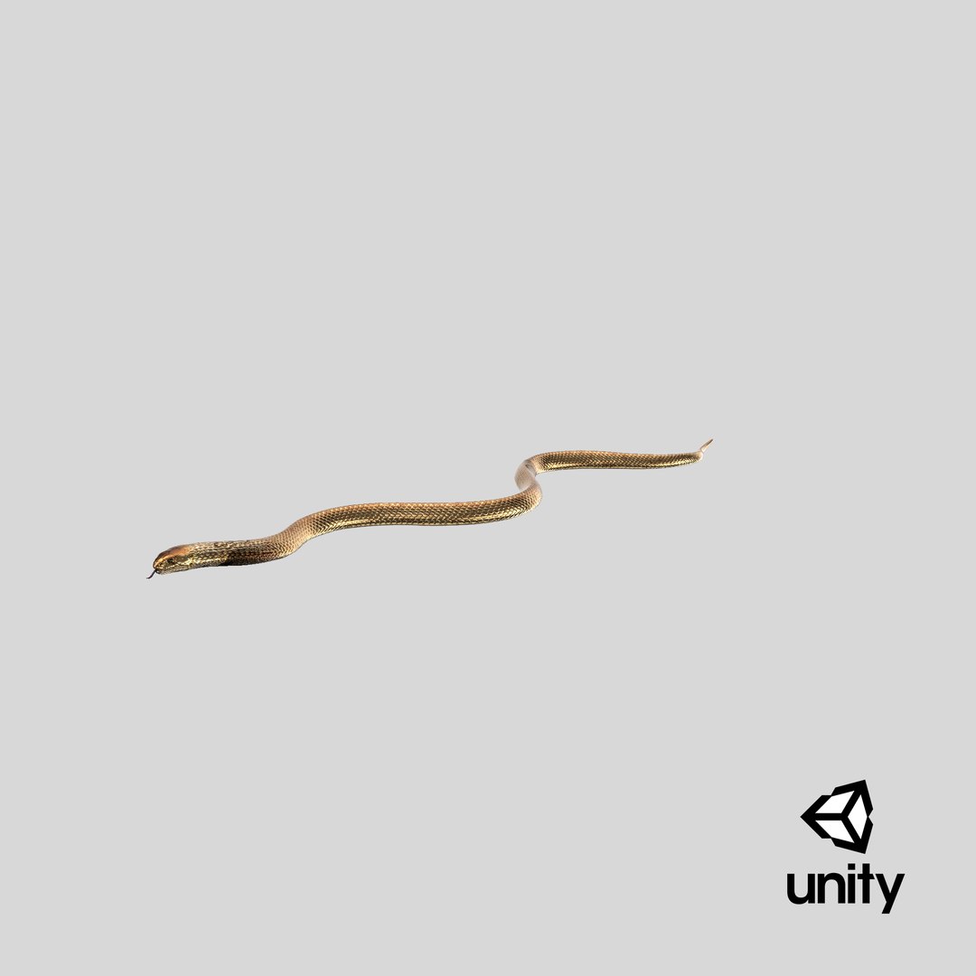 3D light cobra snake crawling model https://p.turbosquid.com/ts-thumb/gN/8clxJx/5A/stemcell_unity_render/png/1692003635/1920x1080/fit_q87/c44ce808cd5c48592aa84b1efea383bb6a92a1a0/stemcell_unity_render.jpg