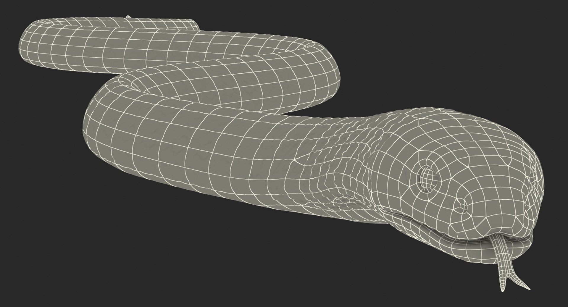 3D light cobra snake crawling model https://p.turbosquid.com/ts-thumb/gN/8clxJx/IzVKV7JV/lightcobrasnakecrawlingc4dmodel021/jpg/1562638129/1920x1080/fit_q87/b82dd974340ac32db949fef68d60180c87393182/lightcobrasnakecrawlingc4dmodel021.jpg