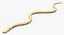 Light Cobra Snake Crawling