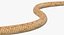 Light Cobra Snake Crawling