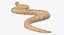 Light Cobra Snake Crawling