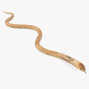 3D light cobra snake crawling model