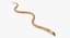 Light Cobra Snake Crawling