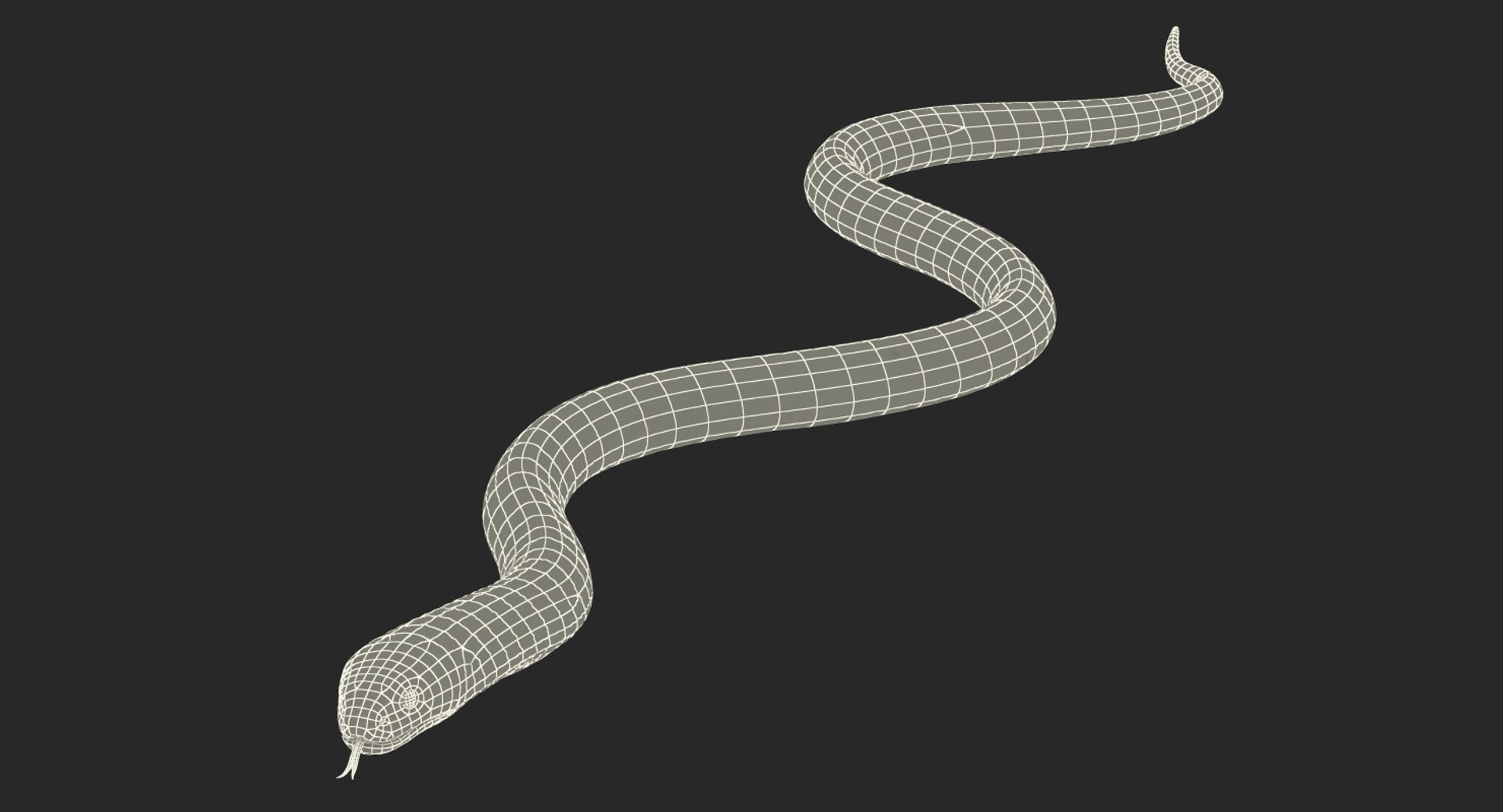3D light cobra snake crawling model https://p.turbosquid.com/ts-thumb/gN/8clxJx/zTm4V4L9/lightcobrasnakecrawlingc4dmodel020/jpg/1562638126/1920x1080/fit_q87/3809d6daca77bbada7bb5deef9929bd815202897/lightcobrasnakecrawlingc4dmodel020.jpg