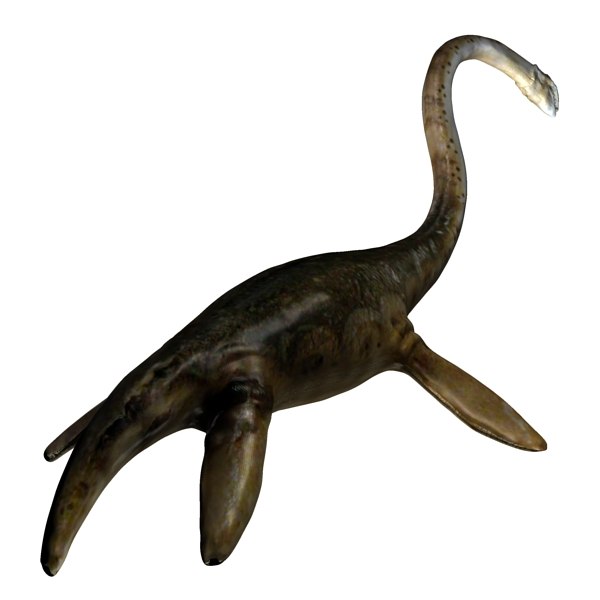 plesiosaur reptile 3d max