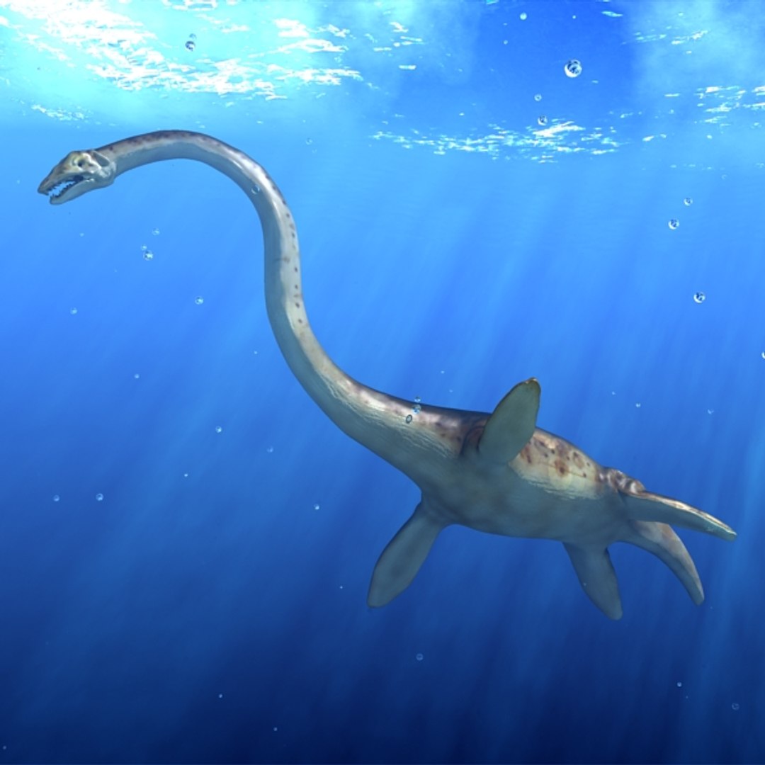 Plesiosaur Reptile 3d Max