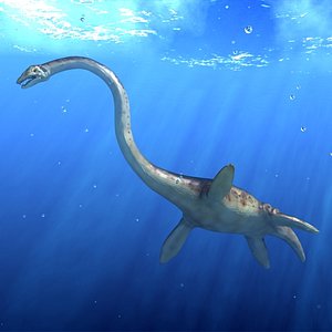 Plesiosaur