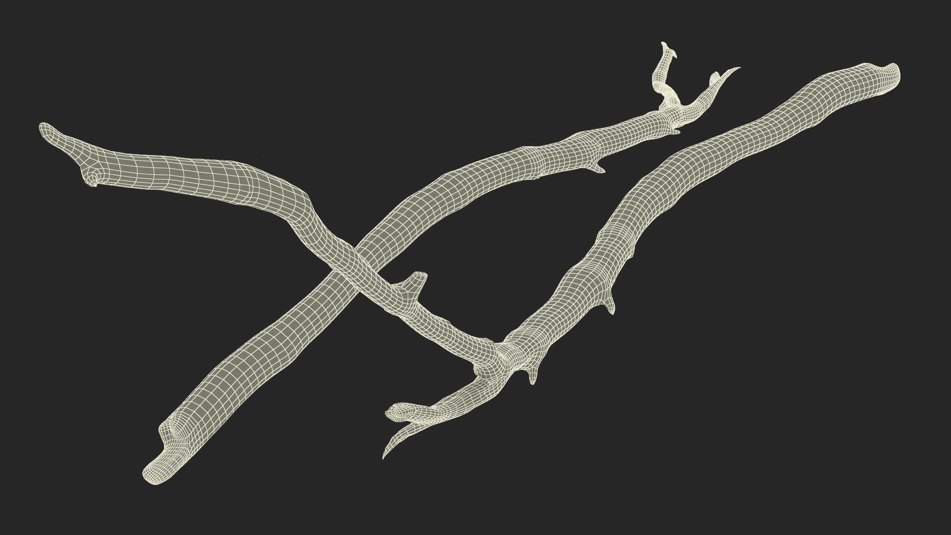 Dry Branch 3D model https://p.turbosquid.com/ts-thumb/gN/IRAt9e/2s/drybranch3dsmodel014/jpg/1724922121/1920x1080/fit_q87/82ab0ab5e9ab2ad445ea6e9bdd7b094e1cfd029a/drybranch3dsmodel014.jpg