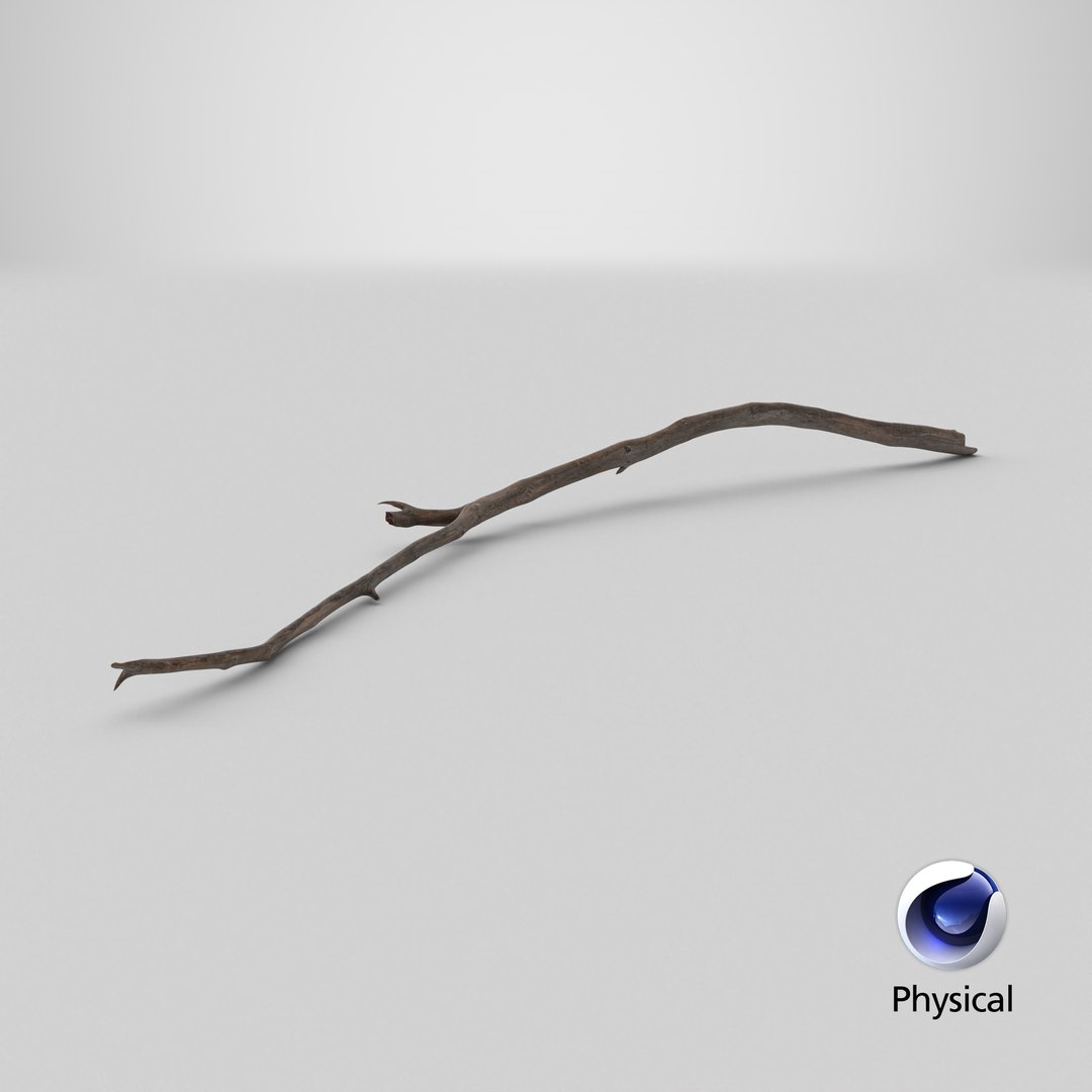 Dry Branch 3D model https://p.turbosquid.com/ts-thumb/gN/IRAt9e/6w/stemcell_cinema_4d_physical_render/png/1731673201/1920x1080/fit_q87/682614949621a89a4ed0cb35ce29cfa99f26ed44/stemcell_cinema_4d_physical_render.jpg
