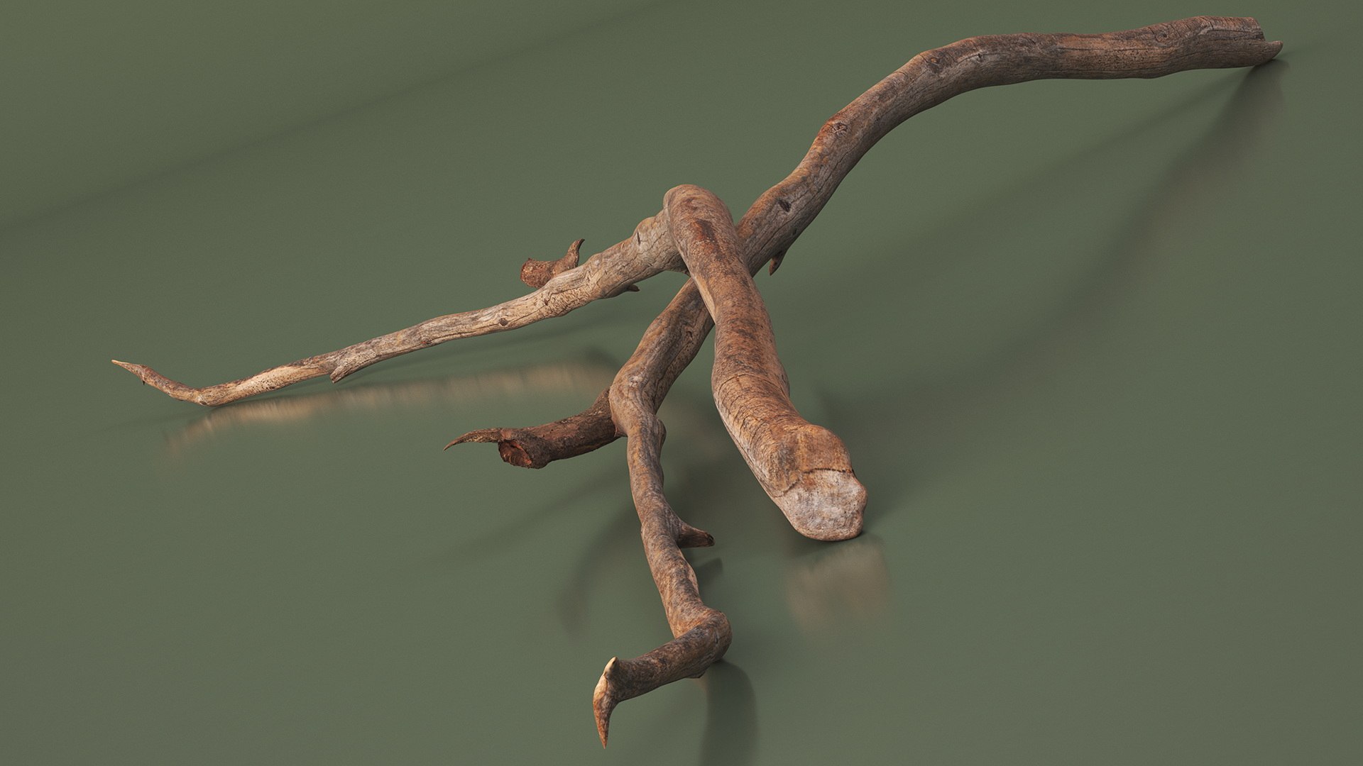 Dry Branch 3D model https://p.turbosquid.com/ts-thumb/gN/IRAt9e/9I/drybranch3dsmodel005/jpg/1724922089/1920x1080/fit_q87/786d13a1315621b9bfe89bf765942775f9cf5229/drybranch3dsmodel005.jpg