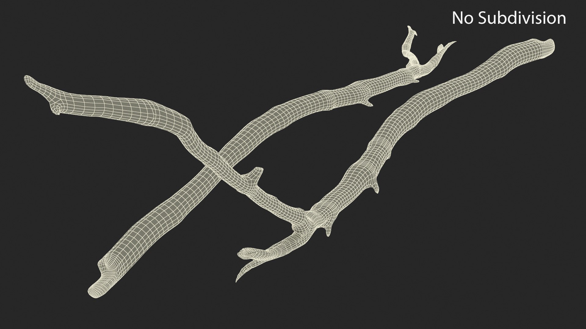 Dry Branch 3D model https://p.turbosquid.com/ts-thumb/gN/IRAt9e/Dp/drybranch3dsmodel010/jpg/1724922107/1920x1080/fit_q87/aac8105a29e0e83555151580f5572fb9d63de5aa/drybranch3dsmodel010.jpg