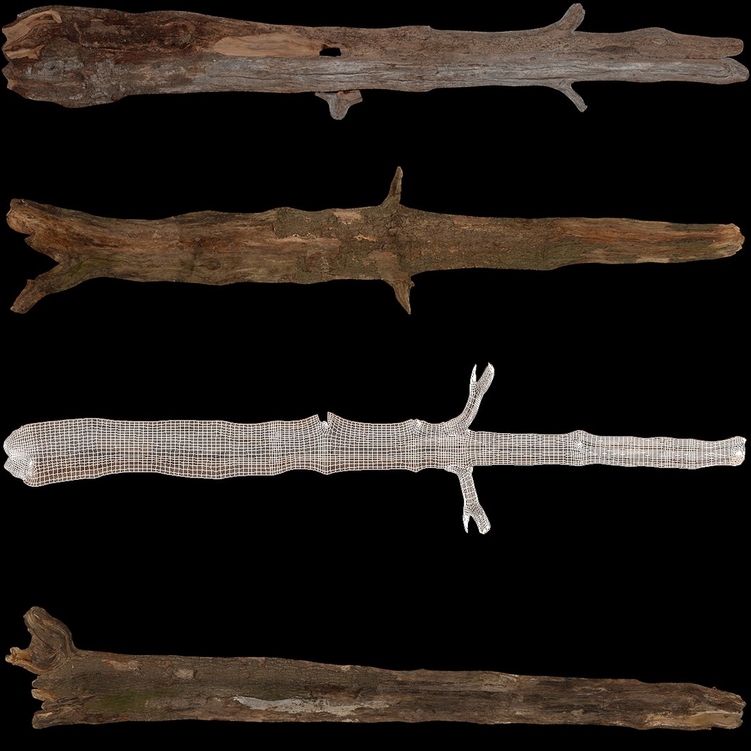 Dry Branch 3D model https://p.turbosquid.com/ts-thumb/gN/IRAt9e/ED/drybranch3dsmodel011/jpg/1724922110/1920x1080/fit_q87/b41c135ec4b0839c0edc878dd5975844d3c134af/drybranch3dsmodel011.jpg