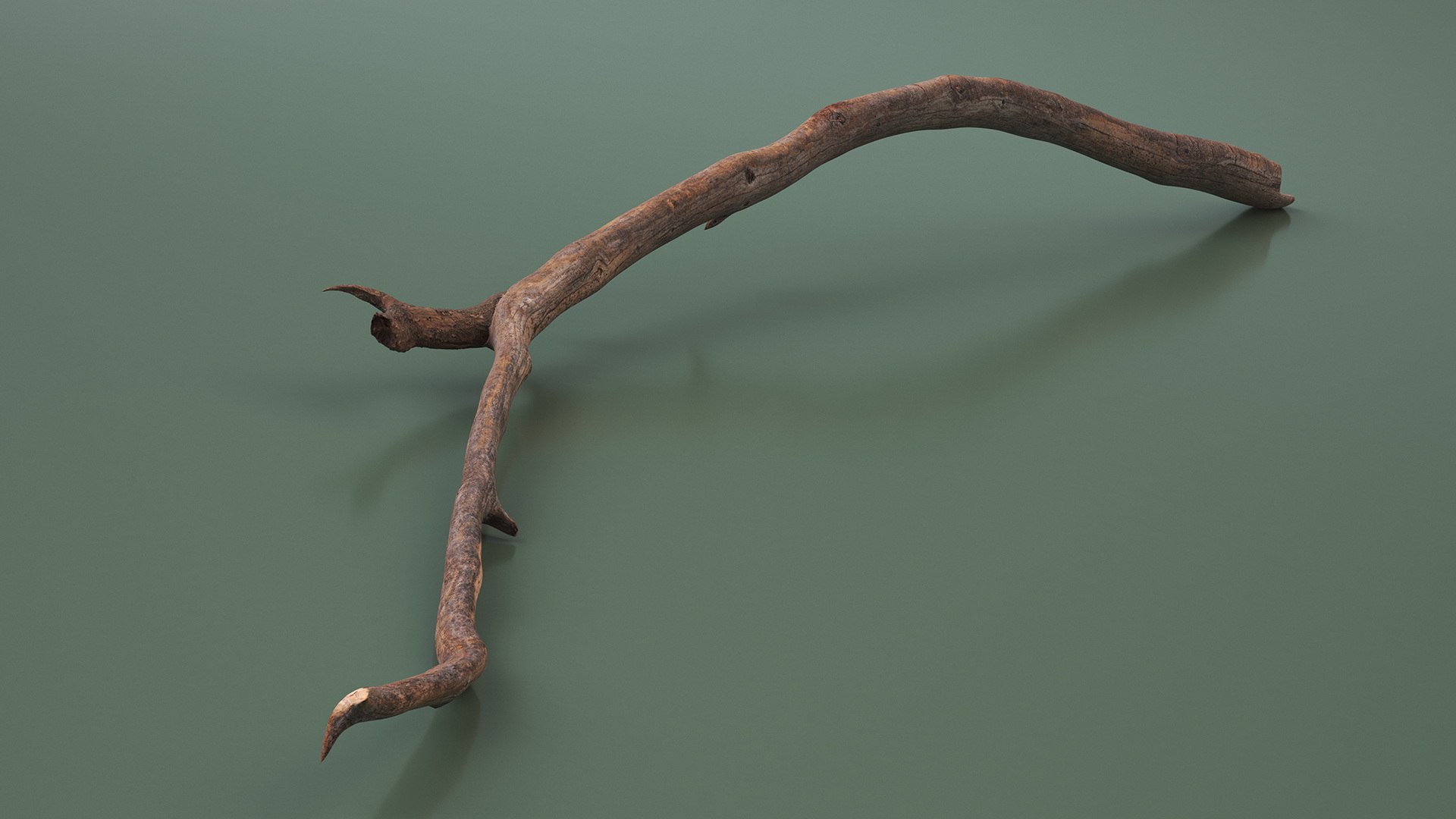 Dry Branch 3D model https://p.turbosquid.com/ts-thumb/gN/IRAt9e/SG/drybranch3dsmodel004/jpg/1724922085/1920x1080/fit_q87/fd41475445b529fc9274bc508e18eb178a2b9a42/drybranch3dsmodel004.jpg